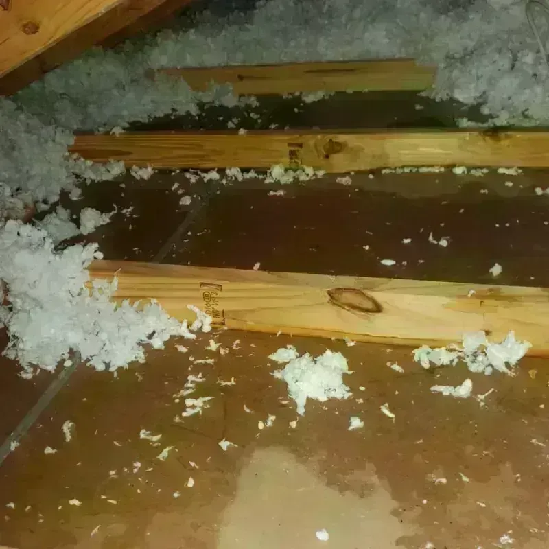 Attic Water Damage in Montecito, CA